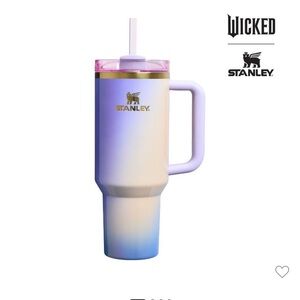 Stanley 2025 wicked collection!